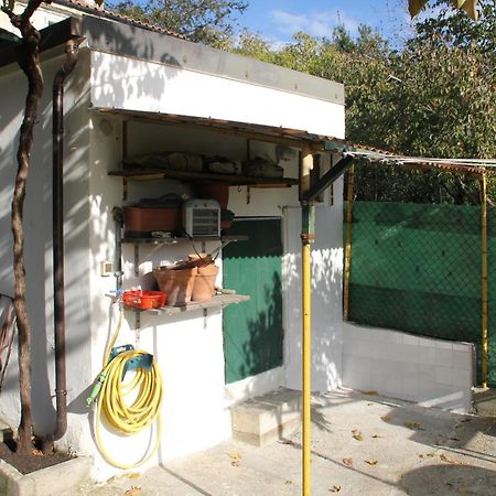Il Gelsomino Villa Triest Exterior foto