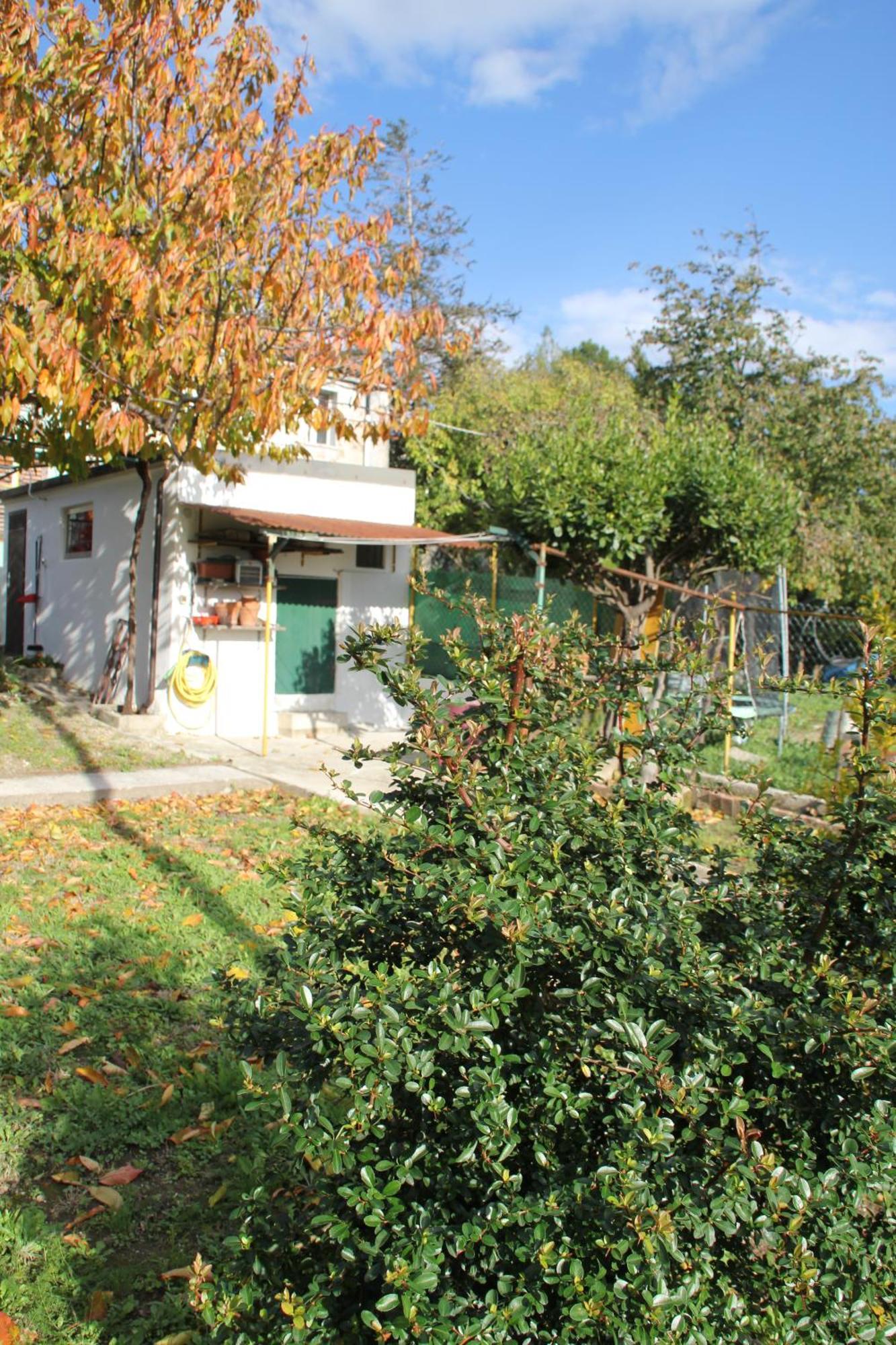Il Gelsomino Villa Triest Exterior foto