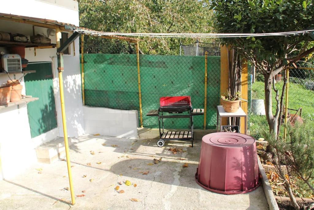 Il Gelsomino Villa Triest Exterior foto
